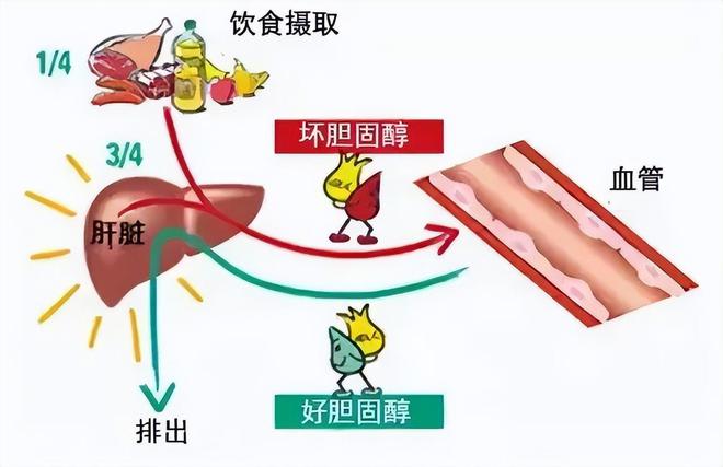 饼真的无糖吗？凯发平台无糖月(图3)